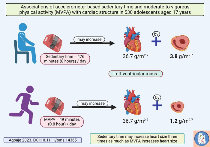 Sedentary time may significantly enlarge adolescents’ heart