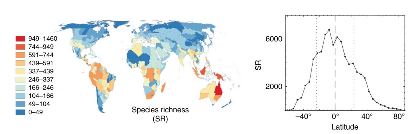 Map of Ant Diversity and Latitude