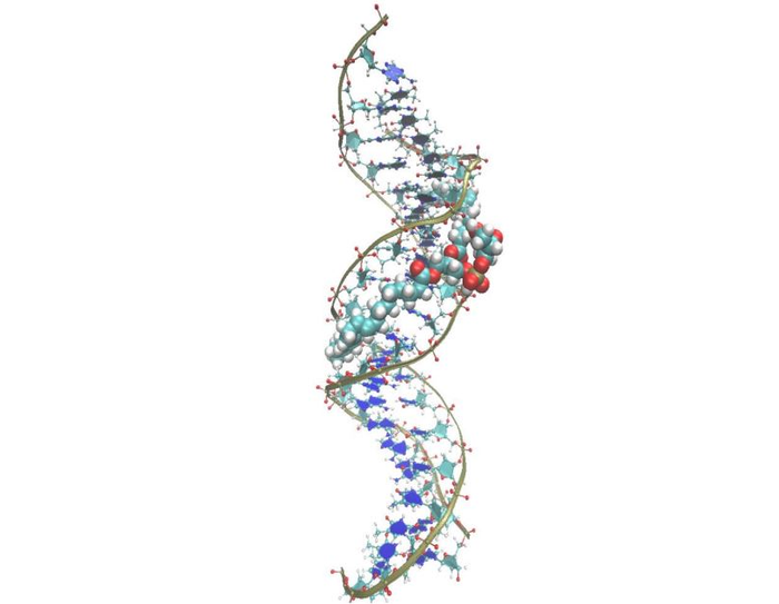 Molecular Dynamics