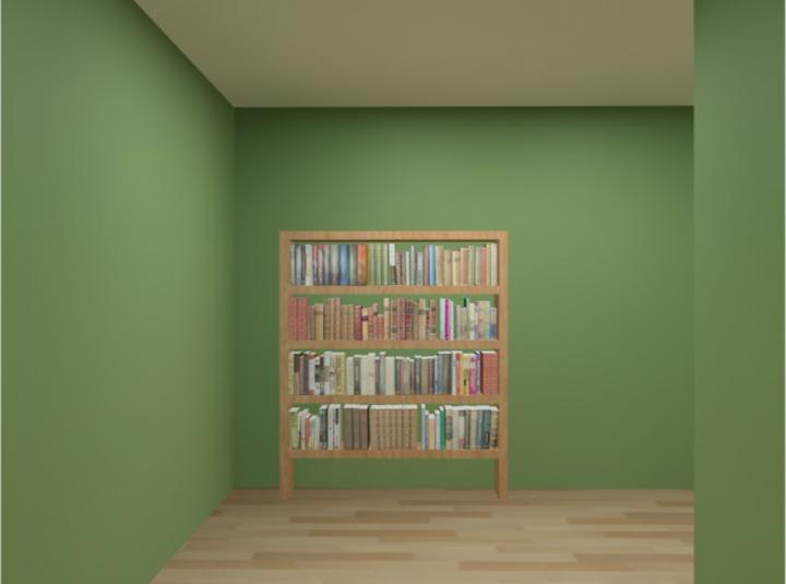 Bookshelf Landmark in Virtual Maze
