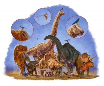 Dinosaur Sizes