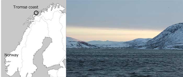 Figure 1: Map of the field study location and a photo of the fjord.