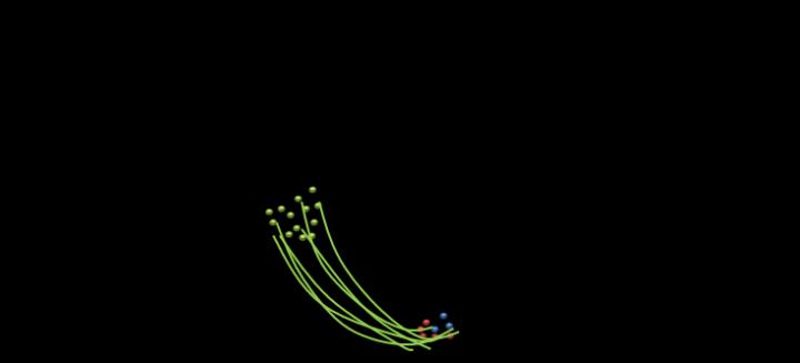Diagram of Male Mouse Brain During 