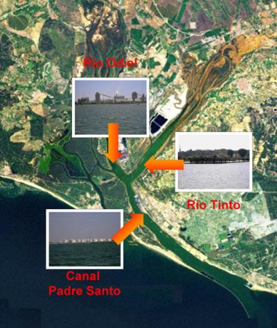 Study Shows Transfer of Heavy Metals from Water to Fish in Huelva Estuary (1 of 2)