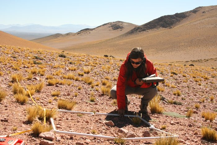 Julia Monks sampling in Argentina