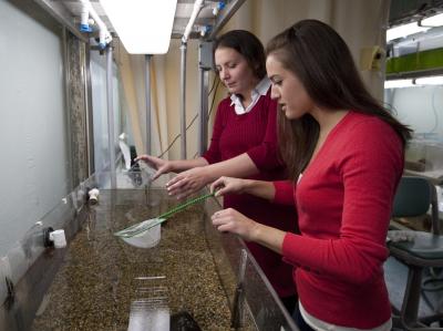 Julie Desjardins and Jill Klausner, Stanford University