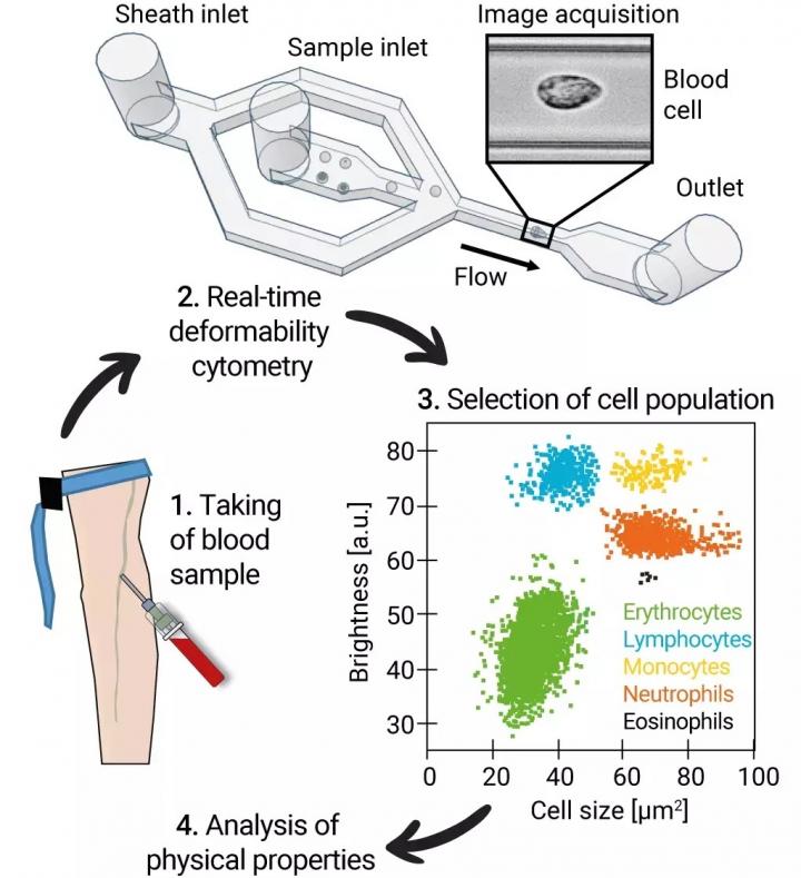 Treatment of Blood Samples