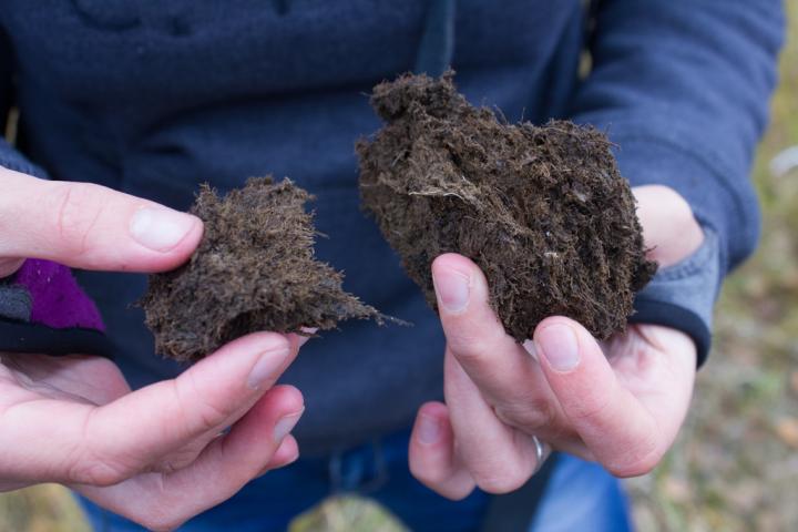 A Biofuel for Automated Heat Generation