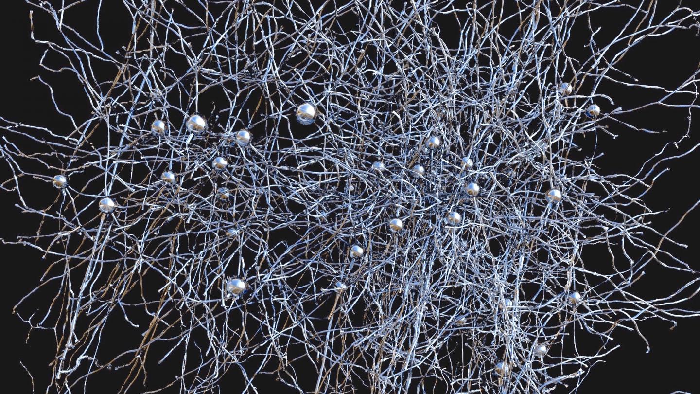 Neuron Network