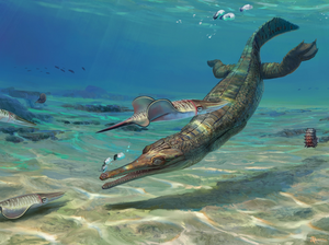 Turnersuchus hingleyae