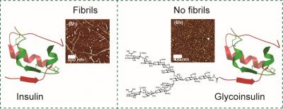 Insulin Fibrils Infographic