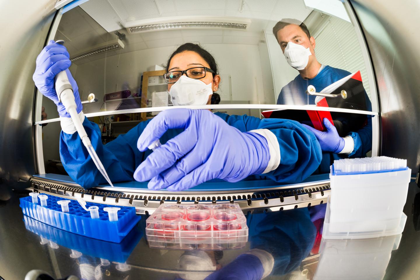 Tuberculosis Research