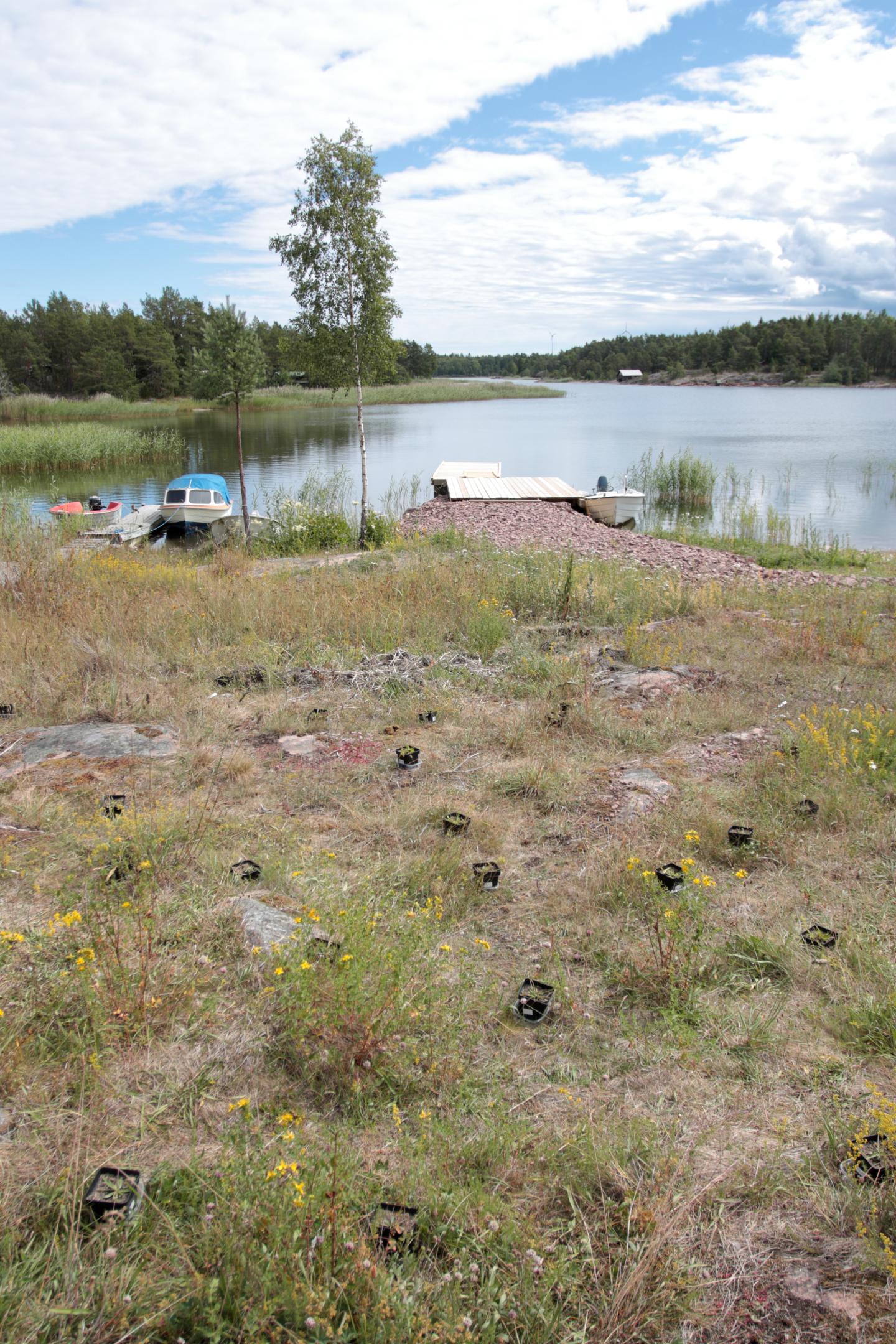 Natural conditions at four locations in the &Aring;land archipelago