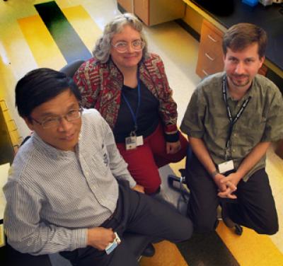 Drs. Kebin Liu, Wendy Bollag and Keith Robertson, Georgia Health Sciences University