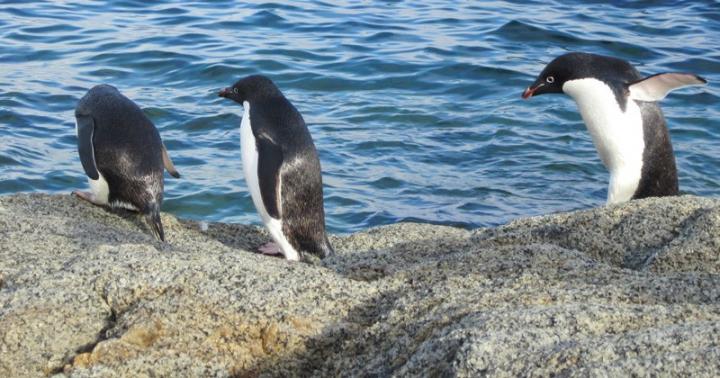 Changing Ocean Chemistry (1 of 2)