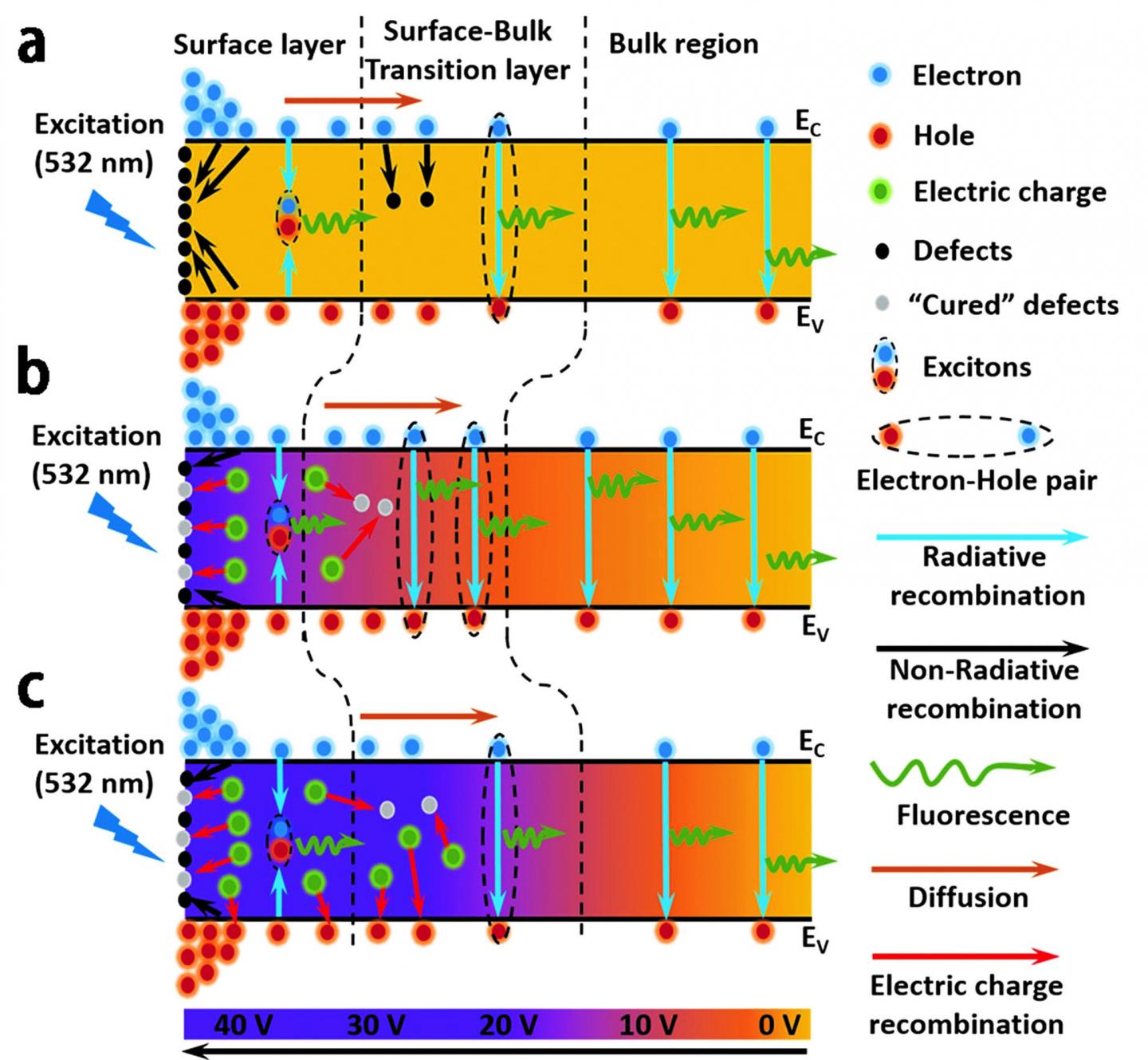 Schematic Diagram