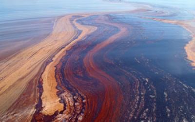 Gulf of Mexico Oil Spill