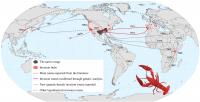 The Global Invasion Routes of the Red Swamp Crayfish, Described Based on Genetics