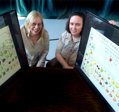 Stallmann-Jorgensen and Barbeau, Medical College of Georgia 2 (of 3)