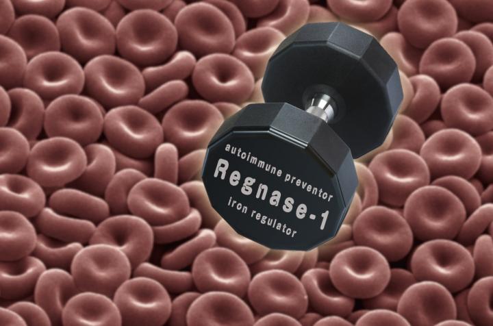 Pumping Iron to Prevent Anemia