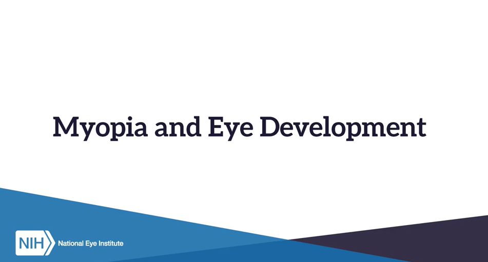 Myopia and Eye Development