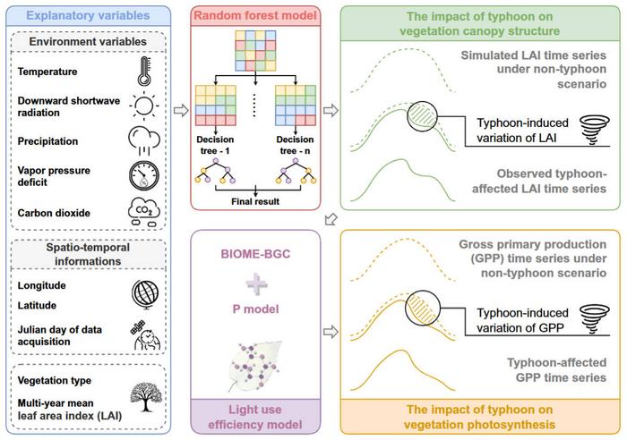 Overall workflow of this study.