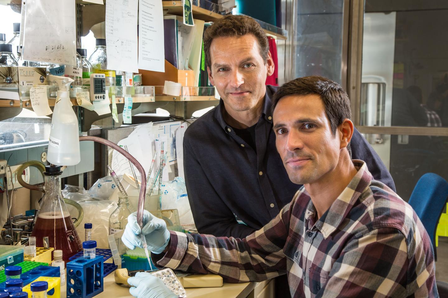Martin Hetzer and Filipe Jacinto, Salk Institute