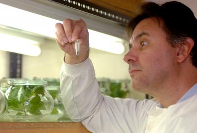 Dr. Lorenzo Frigerio, University of Warwick