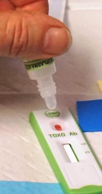 Point of Care Test Kit