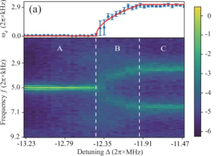 USTC Observes Higher-order and Fractional DTCs in Floquet-driven Rydberg Atomic Gases