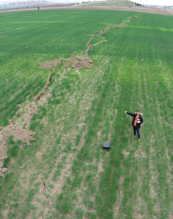 Glimpse of the ground rupture in farm land