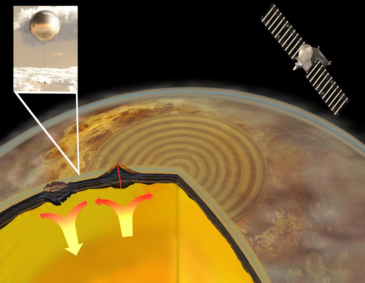 Detecting Seismic Activity on Venus