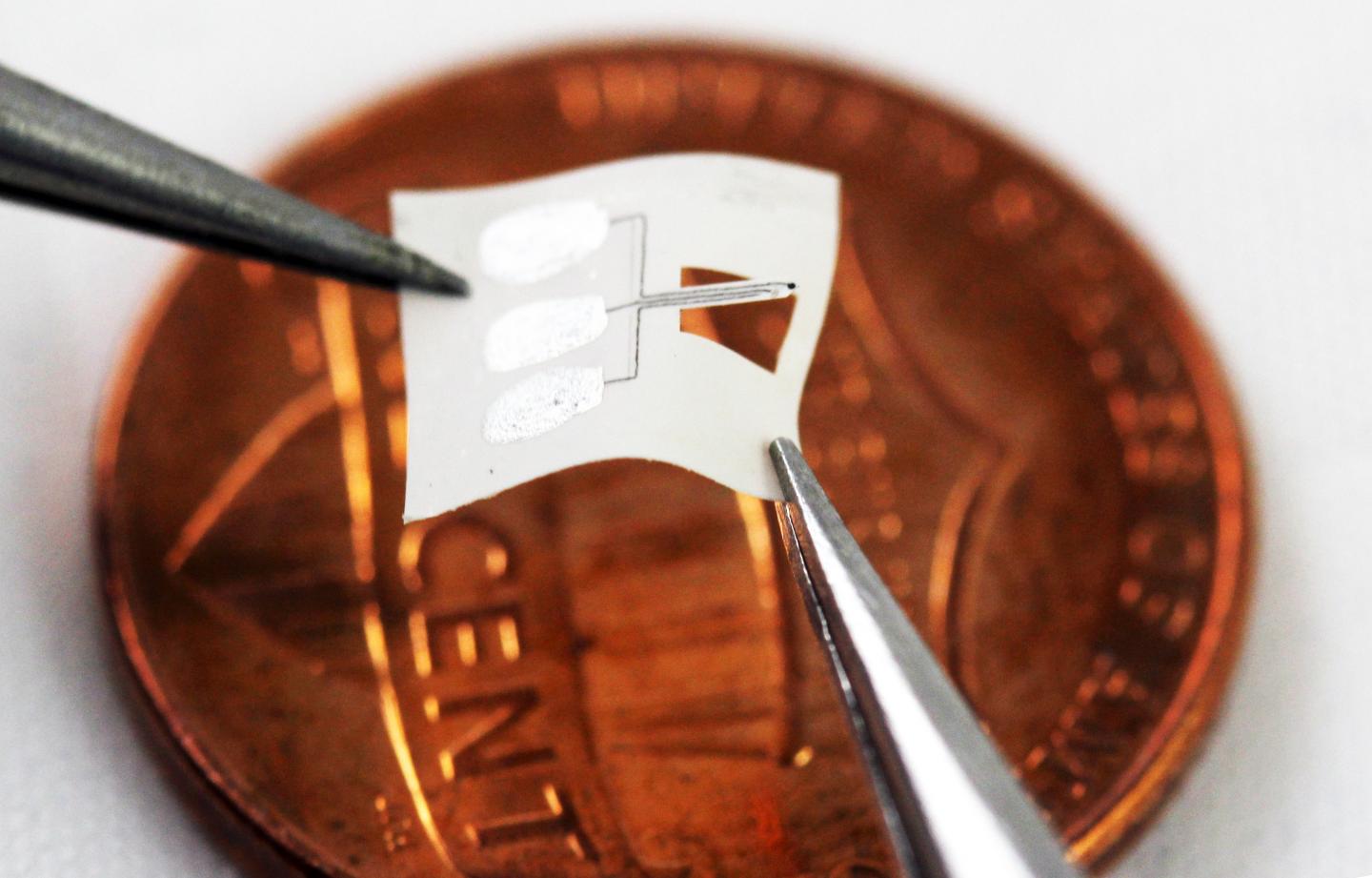 Spinal Cord Sensor