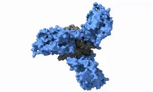 GIF of HIV Glycoprotein moving