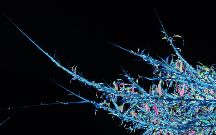 New crystal form of imidacloprid insecticide