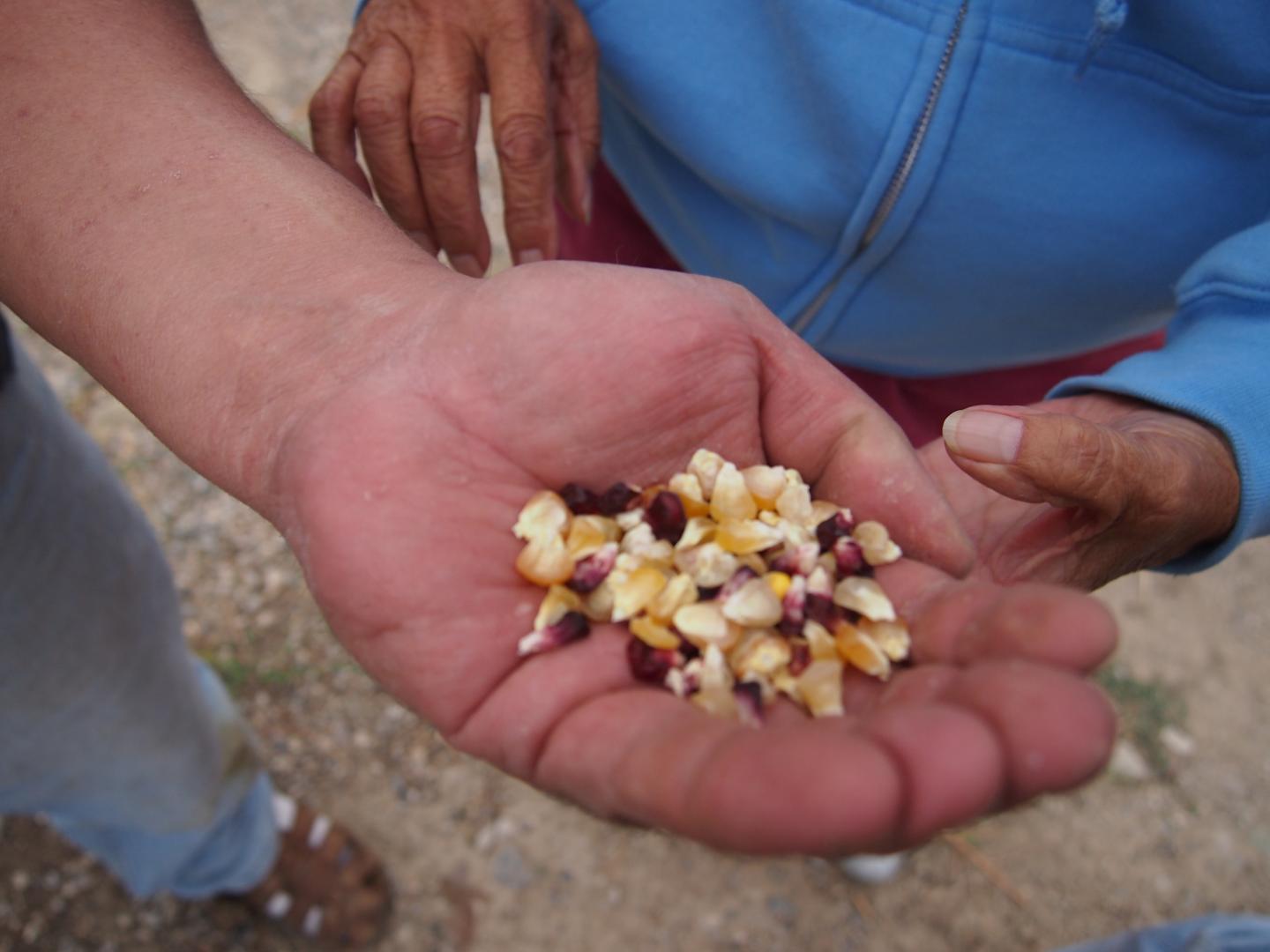 Reservation Gardening