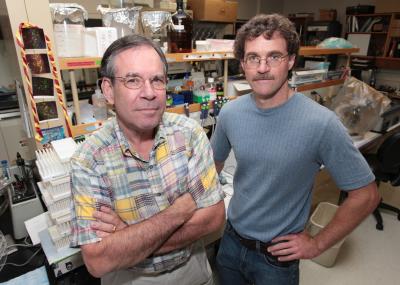 Marc Freeman and Richard Bertram, Florida State University