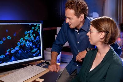 Martin Hetzer and Emily M. Hatch, Salk Institute for Biological Studies