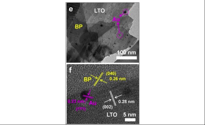 Figure 1 Electron Microscope Images