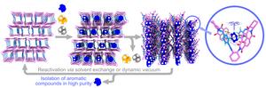 Three-dimensional structure of the pore network