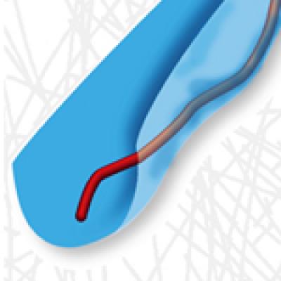 Actin Filament Confining Potential