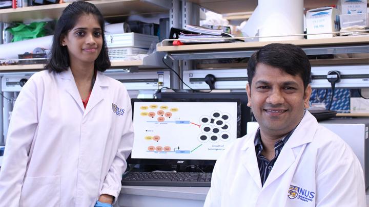 Dr Sudhakar Jha and Deepa Rajagopalan, PhD Student, National University of Singapore