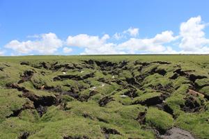 Thermokarst landscape on the Tibetan Plateau