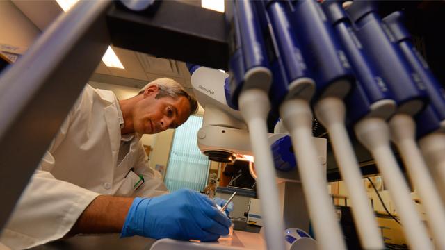 Eric Belin de Chantemele, Medical College of Georgia at Georgia Regents University