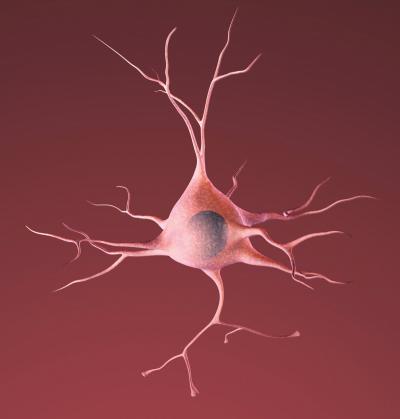 Healthy Neuron