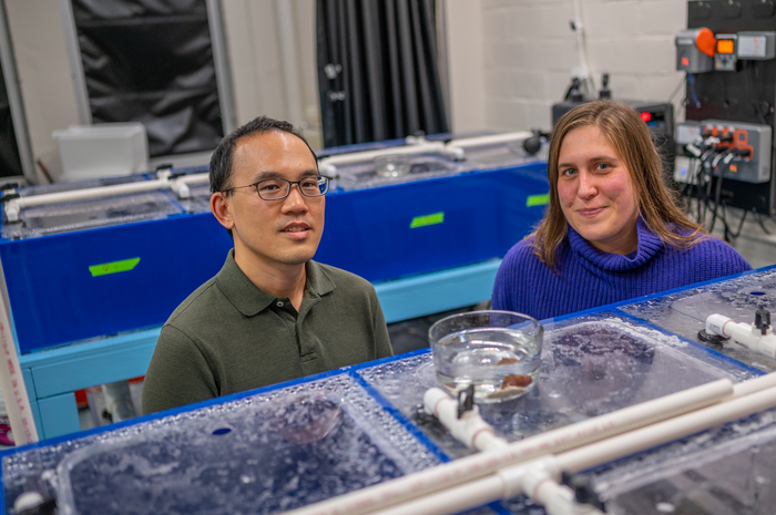 MSU Associate Professor Kevin Liu (left) and MSU Assistant Professor Elizabeth Heath-Heckman (right) stand in the Heath-Heckman Symbiosis Lab.