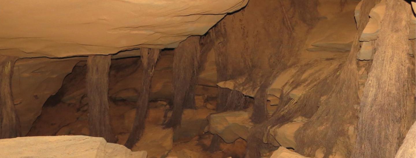 Cave Interior
