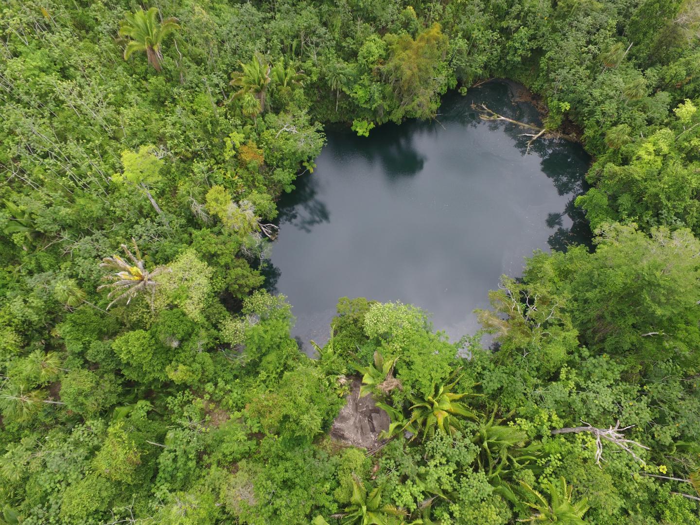 The Tooth of The First Fossilized Giant Ground Sloth from Belize Exposes its World (5 of 9)