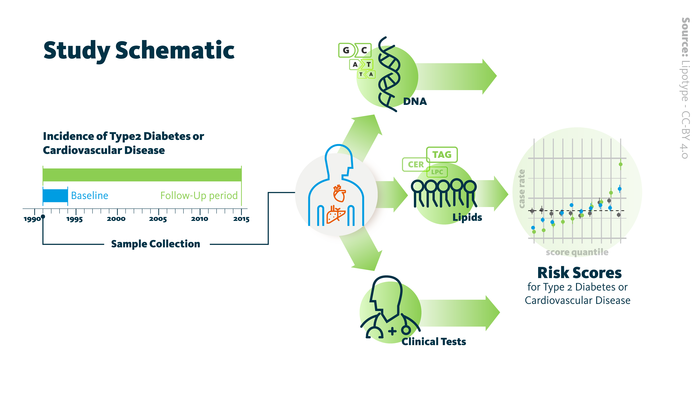 Lipid profiling can predict risk of diabetes, cardiovascular disease decades before onset