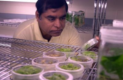 Henry Daniell, University of Central Florida